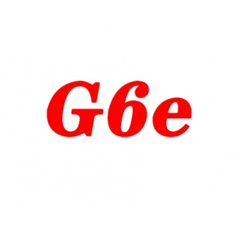 G6e行政事業版